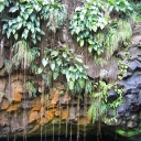 Grenada waterfall 2.jpg